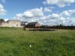 Higher Broughton In Bloom